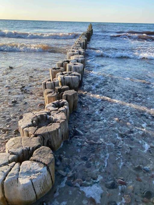 Familienurlaub Mit Hund An Der Ostsee Admannshagen-Bargeshagen Exteriér fotografie